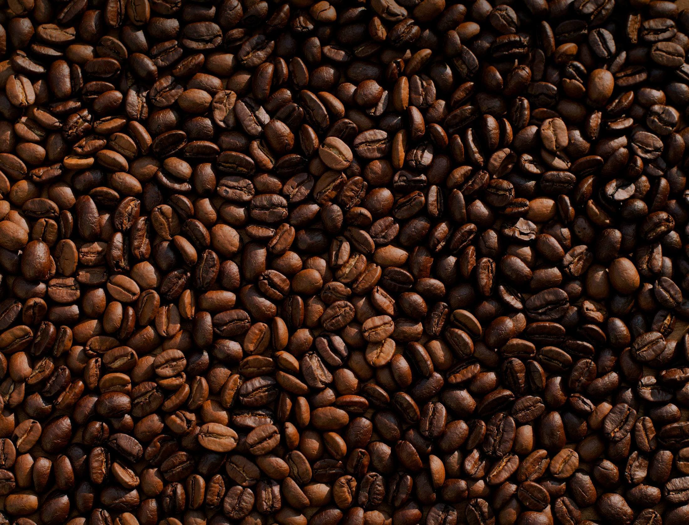 Quality inspection of freshly graded coffee beans